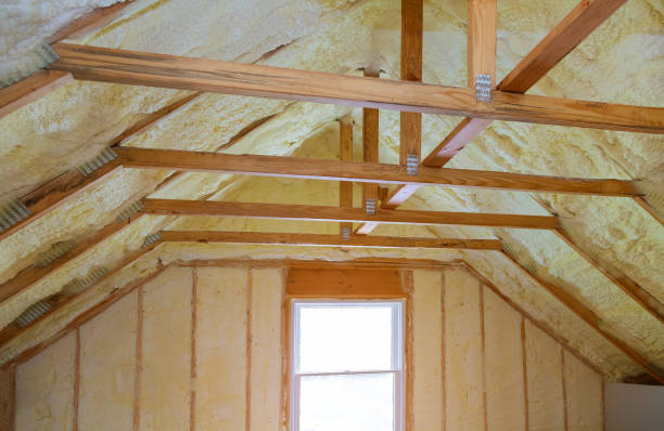 Best Insulation for Commercial Buildings  in Canyon Lake, TX