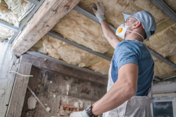 Best Spray Foam Insulation  in Canyon Lake, TX