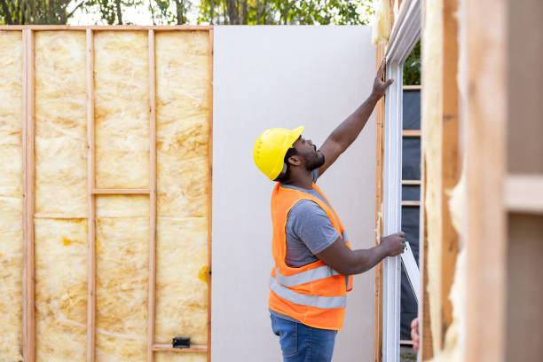 Best Insulation for New Construction  in Canyon Lake, TX