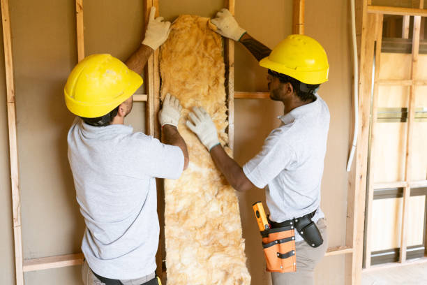Best Commercial Insulation Contractor  in Canyon Lake, TX