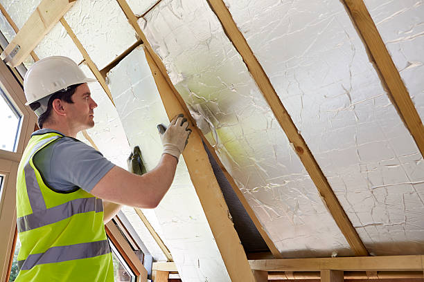 Best Insulation Removal  in Canyon Lake, TX
